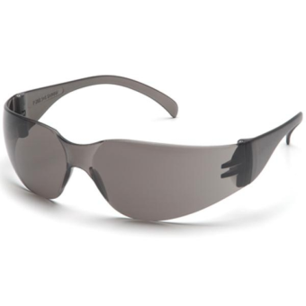 Очки защитные Pyramex Intruder ES4120S