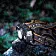 Налобный фонарь Fenix HP30R V2.0